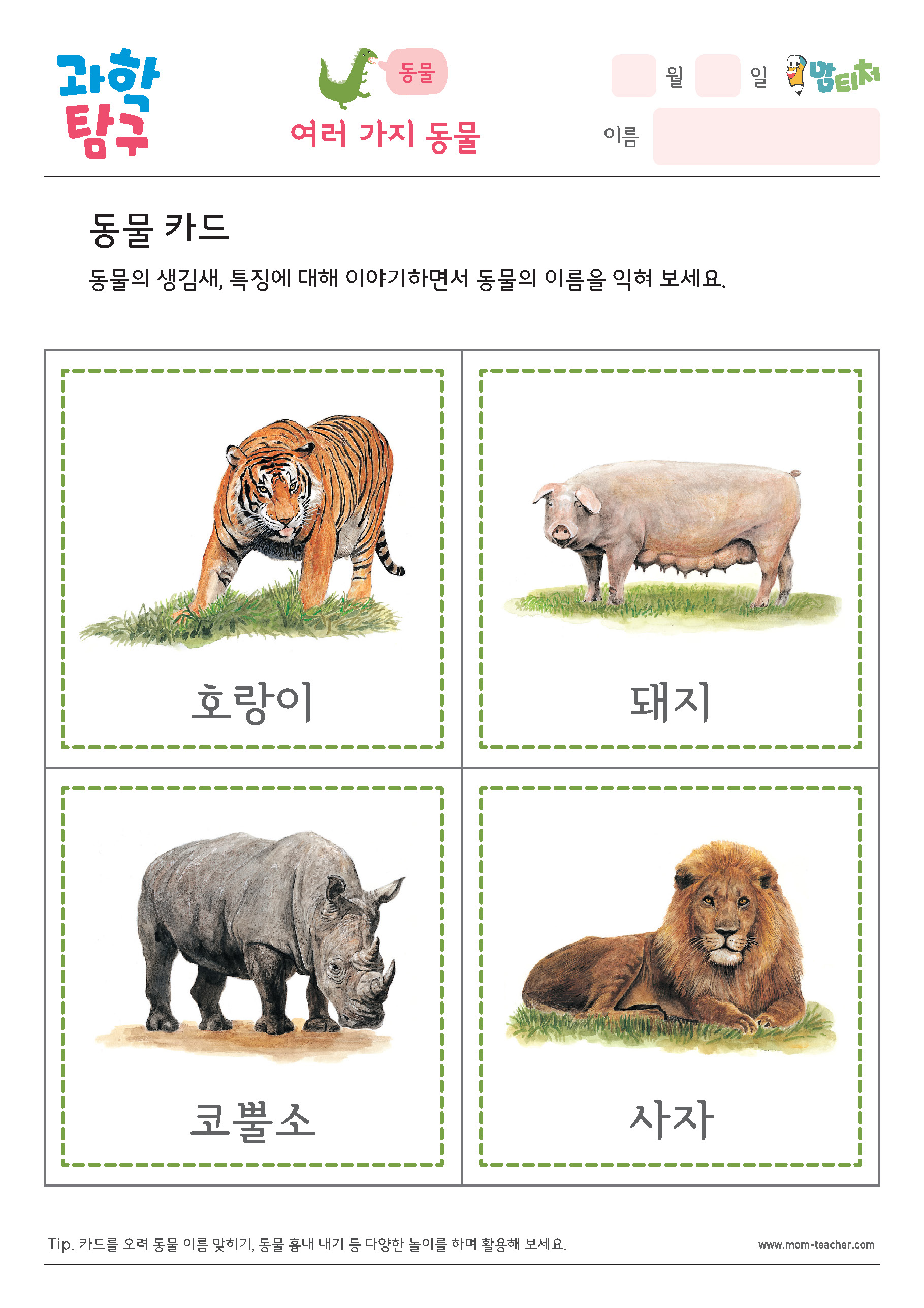 여러 가지 동물 - 동물 카드
